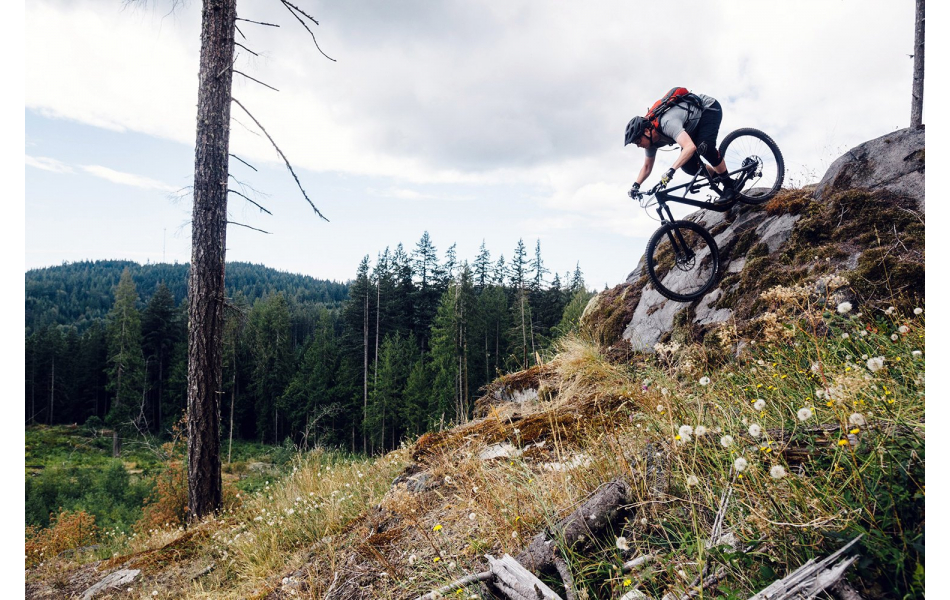 specialized enduro fsr elite carbon 6fattie 29