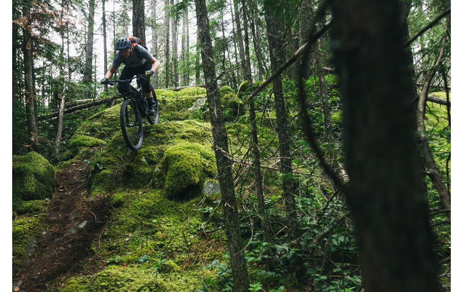 specialized enduro fsr elite carbon 6fattie 29